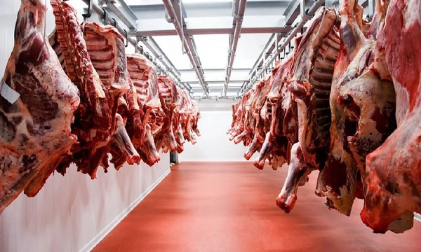 Las exportaciones globales de carne vacuna y porcina caerían en 2026 - OviedoPress