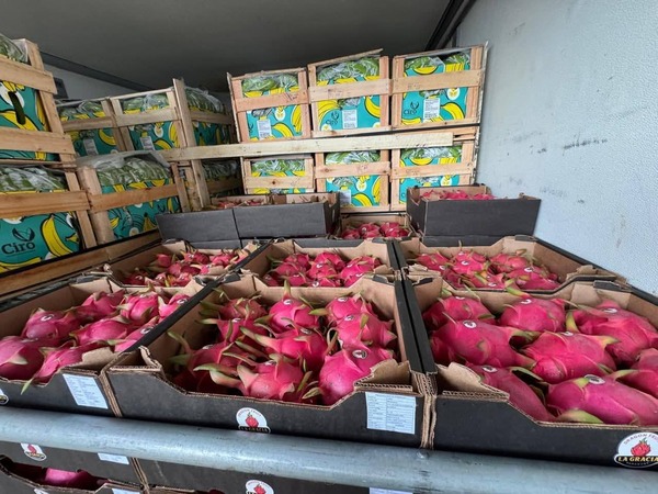 Paraguay concreta su primera exportación de pitahaya a Uruguay