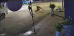 Popular / Su ex pareja y su ex cuñada la reventaron a golpes callepe