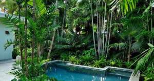 Diario HOY | Advierten sobre agencias de turismo no habilitadas, también hay que atender con las casas quintas