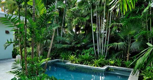 Diario HOY | Advierten sobre agencias de turismo no habilitadas, también hay que atender con las casas quintas