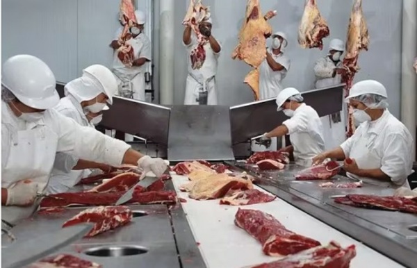 ¿Tres frigoríficos, un solo dueño? Conacom aclara cómo está repartido el negocio cárnico en el país