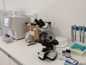 Grupo Meister se expande con nuevo laboratorio clínico en Ciudad del Este