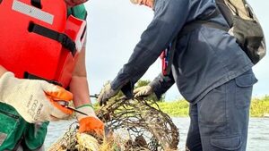 Banco San Miguel: Retiran 500 metros de redes, pero dan venia a amarradero