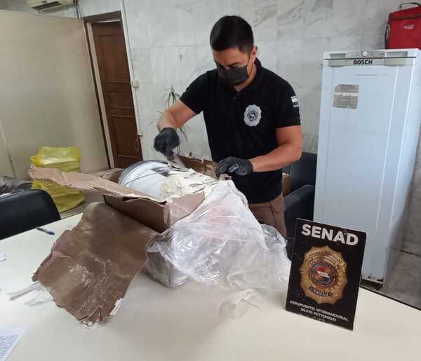 SENAD detecta marihuana de alto contenido de THC proveniente de Miami