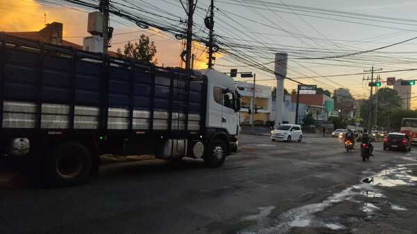 Acusan reincidencia de frigoríficos por ingreso de ganado en zona restringida