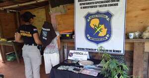 La Nación / Detienen a una mujer con dosis de crack y marihuana tras allanamiento