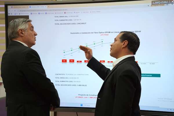 ANDE y MEC buscan saldar deuda de US$ 13,3 millones - Economía - ABC Color