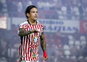 El capi rayadito apunta a la copa