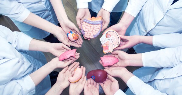 Paraguay logró 163 trasplantes en 2025: 287 siguen en espera