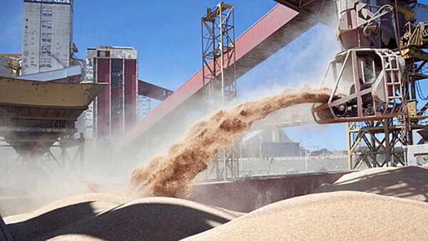 La soja tuvo menor cosecha, pero logró más industrialización