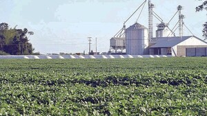 Sugieren aprobar acuerdo con UE sin condicionar a la producción nacional