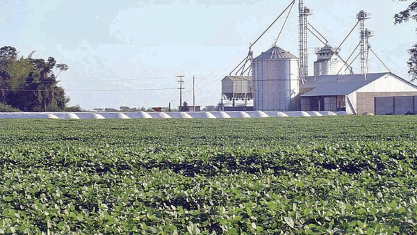 Sugieren aprobar acuerdo con UE sin condicionar a la producción nacional