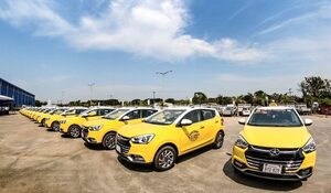 Popular / Taxistas piden a jóvenes elegir enjambre para primer empleo