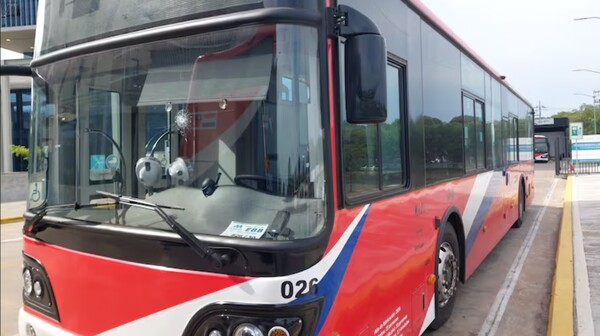 Popular / ¡Vándalos atacaron buses eléctricos!