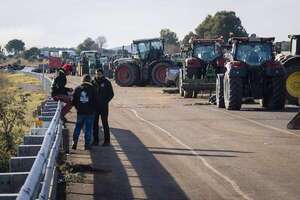 La UE perdió un 17 % de mano de obra agrícola en una década, pero subió en España un 2,3% - Mundo - ABC Color