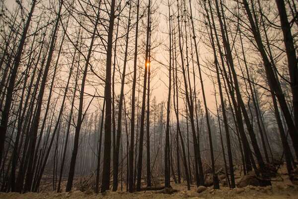 Chile envía dos aeronaves a la Patagonia argentina para combatir los incendios - Mundo - ABC Color