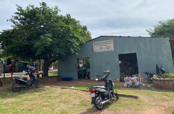 Concepción: pequeños productores pretenden mejorar local donde realizan tradicional feria   - Nacionales - ABC Color