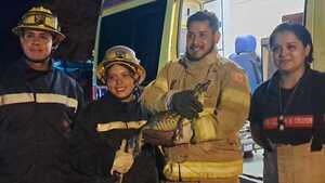 Bomberos rescatan a un yacaré que convivía con vecinos en Concepción