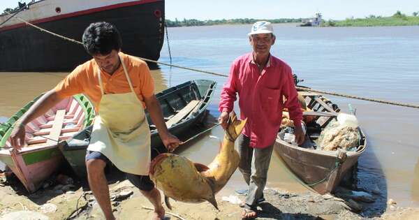 La Nación / Rediseñan programa para fortalecer ingresos de pescadores en zonas estratégicas
