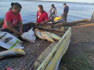 Pescadores de Ayolas atraviesan dificultades en el inicio del 2026 - Nacionales - ABC Color