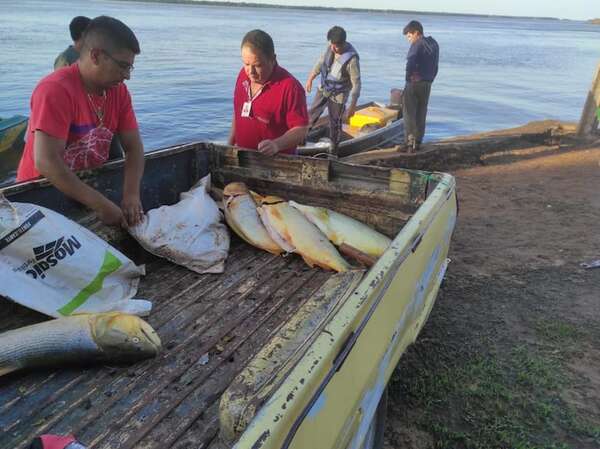 Pescadores de Ayolas atraviesan dificultades en el inicio del 2026 - Nacionales - ABC Color