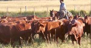La Nación / Créditos ganaderos al 7,4 % ya están vigentes