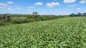 Paraguay está en condiciones de cumplir con salvaguardias ambientales de la UE, afirma ministro