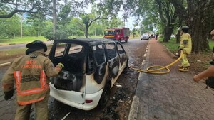 Video: Incendio consumió vehículo ante la atónita mirada del dueño