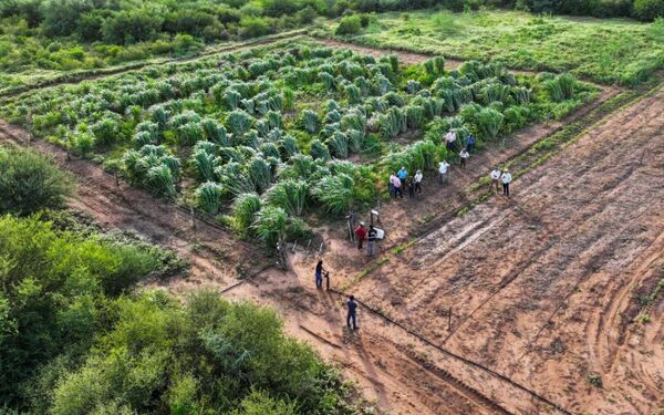 MADES supervisa «proyectos estratégicos» en el Chaco y busca fortalecer el diálogo