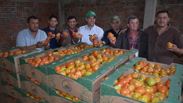 Abastecimiento de tomate nacional hasta agosto, según el MAG