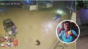 Video: Terrible imprudencia al volante se cobra la vida de un abuelo y un perro en Luque