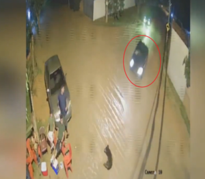 Adulto mayor y su perro mueren tras ser embestidos por joven automovilista | Unicanal