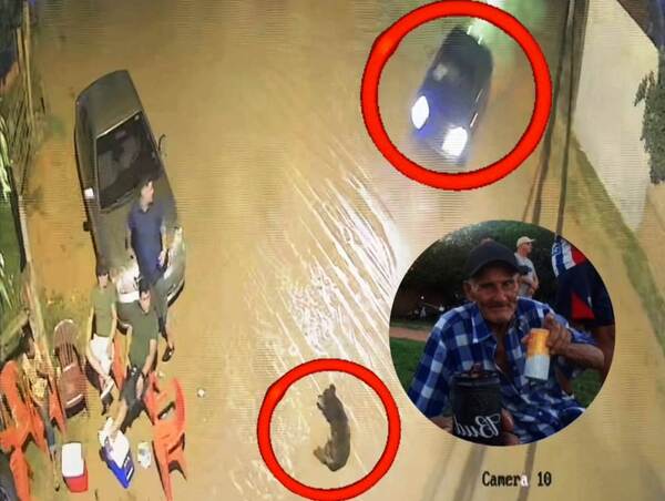 Chofer “tragó” una curva, mató a un abuelo y a un perro •