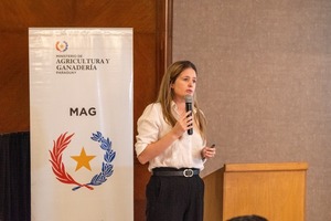 Acuerdo Mercosur-UE abre puertas y nuevos mercados para los productos forestales, dicen - ADN Digital