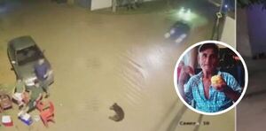 Imprudencia al volante en Luque deja un abuelo y su perro sin vida