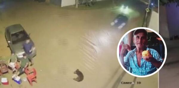 Imprudencia al volante en Luque deja un abuelo y su perro sin vida