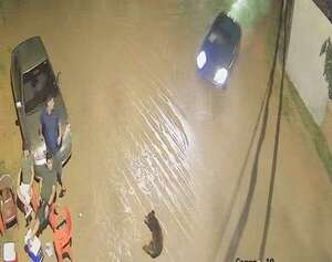 Video: adulto mayor y su mascota pierden la vida tras ser atropellados en Luque  - Policiales - ABC Color
