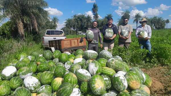 Misiones: Jóvenes logran certificar su producción de sandía