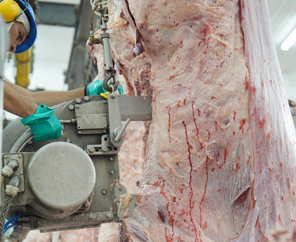Faena del Mercosur: en cuatro años se sumaron más de 10 millones de cabezas procesadas