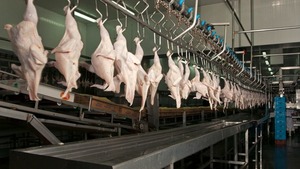 Precio promedio de la carne aviar cayó 12,1% en 2025