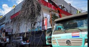 La Nación / Ande limpia columnas de cables inservibles en CDE