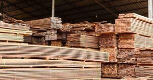 La Nación / El acuerdo UE-Mercosur podría duplicar exportaciones forestales