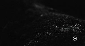 Festival La Nature 2026: Convocatoria abierta para performances e instalaciones