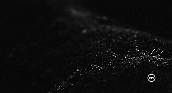 Festival La Nature 2026: Convocatoria abierta para performances e instalaciones