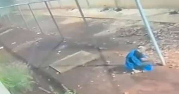 La Nación / Abrirán sumario administrativo tras fuga de internos en Minga Guazú