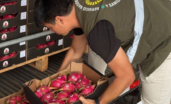 Se concretó la primera exportación de pitahaya producida en el país