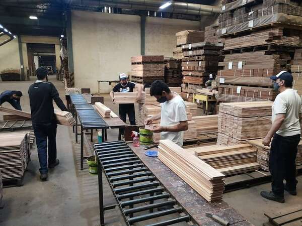 Acuerdo abre universo interesante para la industria maderil, señala titular de Infona - Economía - ABC Color