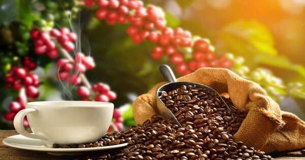 Brasil alcanza ingresos récord por las exportaciones de café en 2025 - Mundo - ABC Color