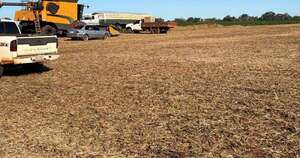 Diario HOY | Hacen lugar a medida cautelar para garantizar cosecha de soja ante posible invasión